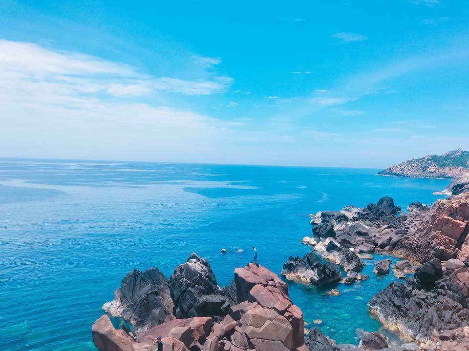Du lịch Cù Lao Xanh Quy Nhơn địa điểm du lịch chưa bao giờ hạ nhiệt