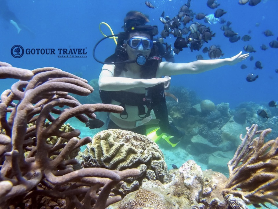 Tour Lạng Sơn đi Quy Nhơn và đảo Lý Sơn 2023